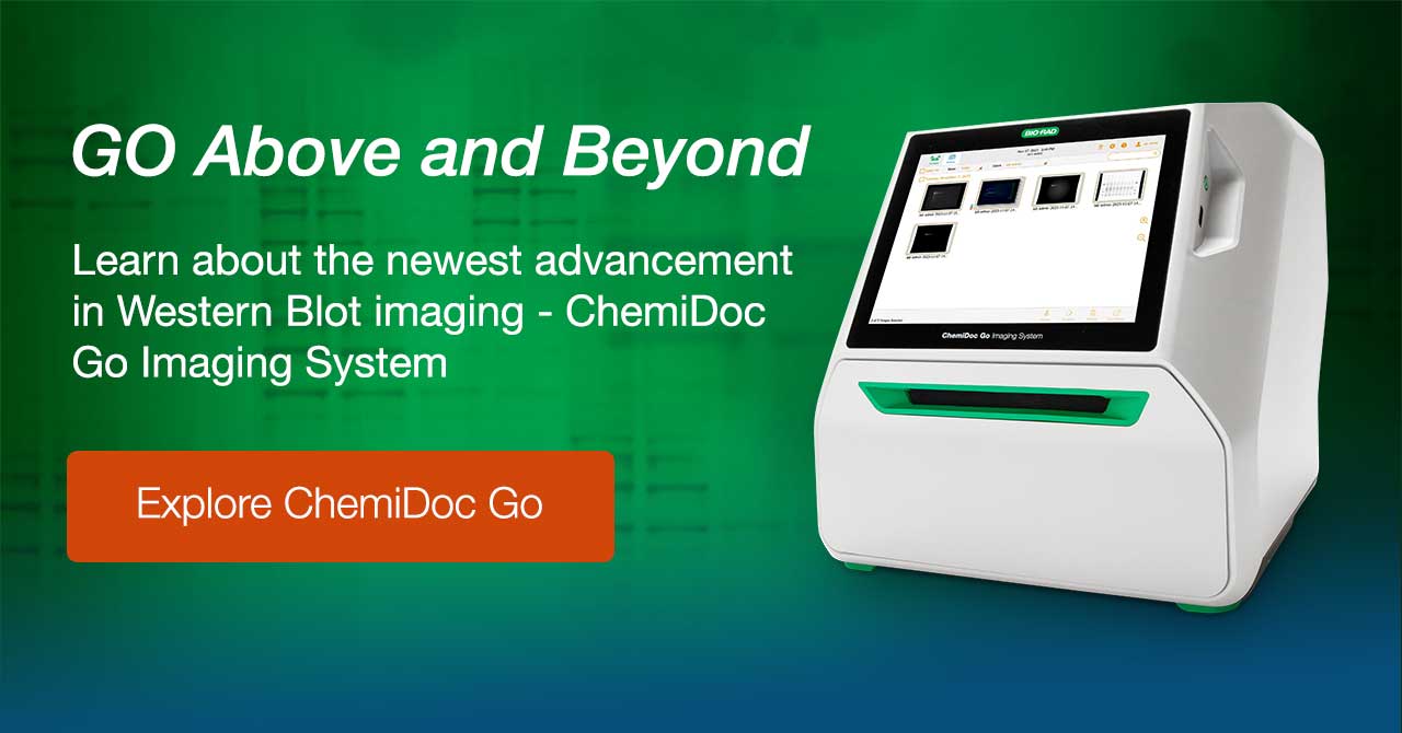 GO Above and Beyond. Learn about the newest advancement in Western Blot imaging - ChemiDoc Go Imaging System